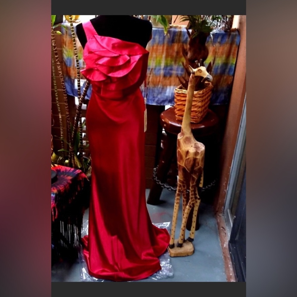 Cinderella Fashions Red Evening Gown